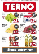 akciov� let�k TERNO