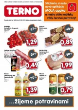 mimoriadn� let�k TERNO