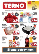 akciov� let�k TERNO