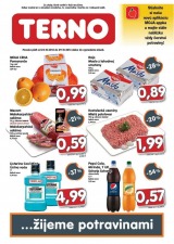 mimoriadn� TERNO let�k