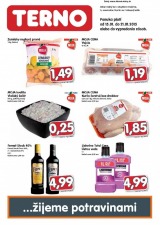 akciov� TERNO let�k