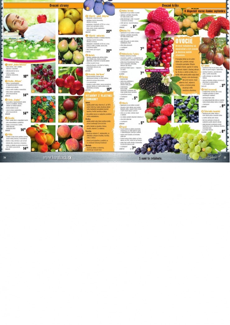 let�k HORNBACH z�hradn� katal�g strana 13