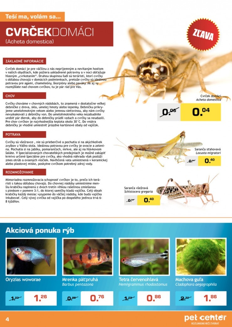 let�k Pet Center Ko�ice let�k strana 4