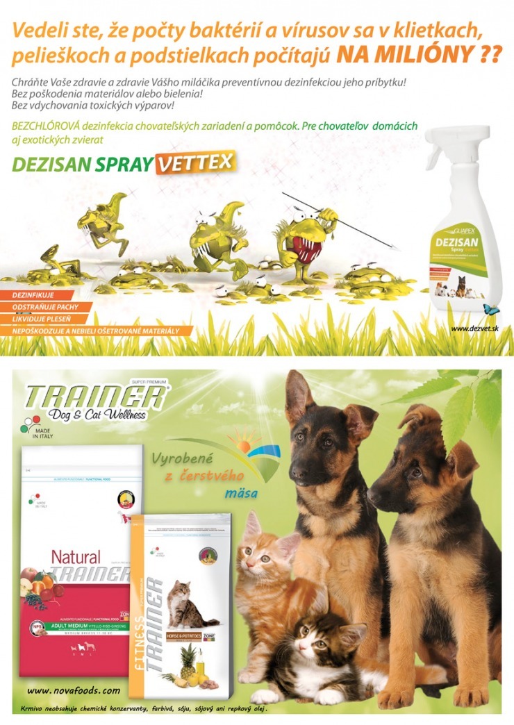 let�k Pet Center Bratislava let�k strana 2