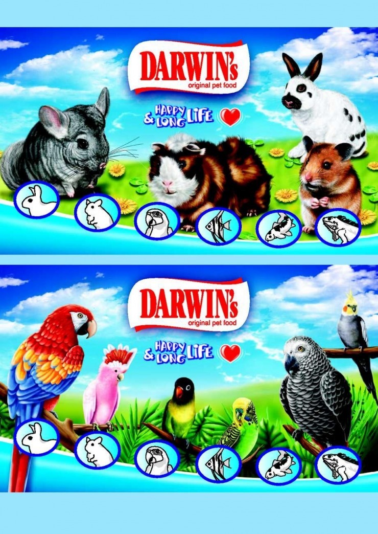 let�k �peci�lna ponuka Pet Center strana 8