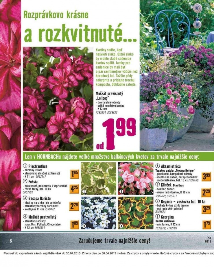 let�k aktu�lny katal�g HORNBACH strana 6