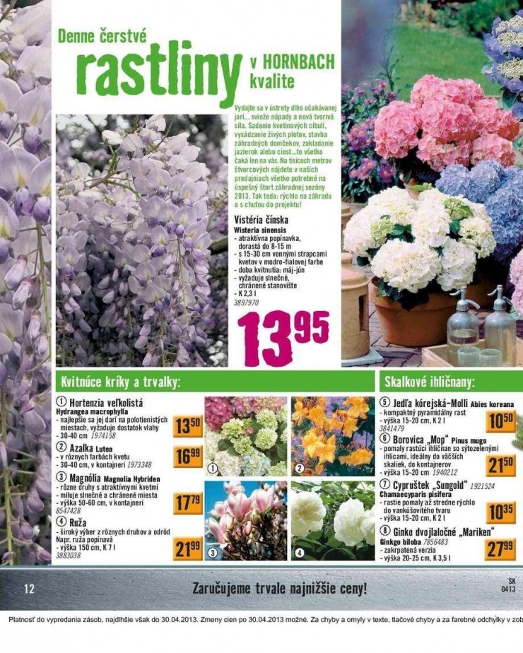 let�k aktu�lny katal�g HORNBACH strana 12