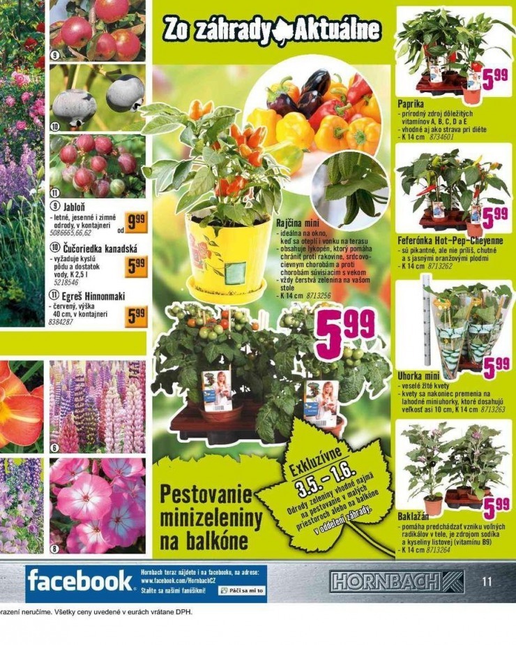 let�k HORNBACH akciov� let�k strana 11