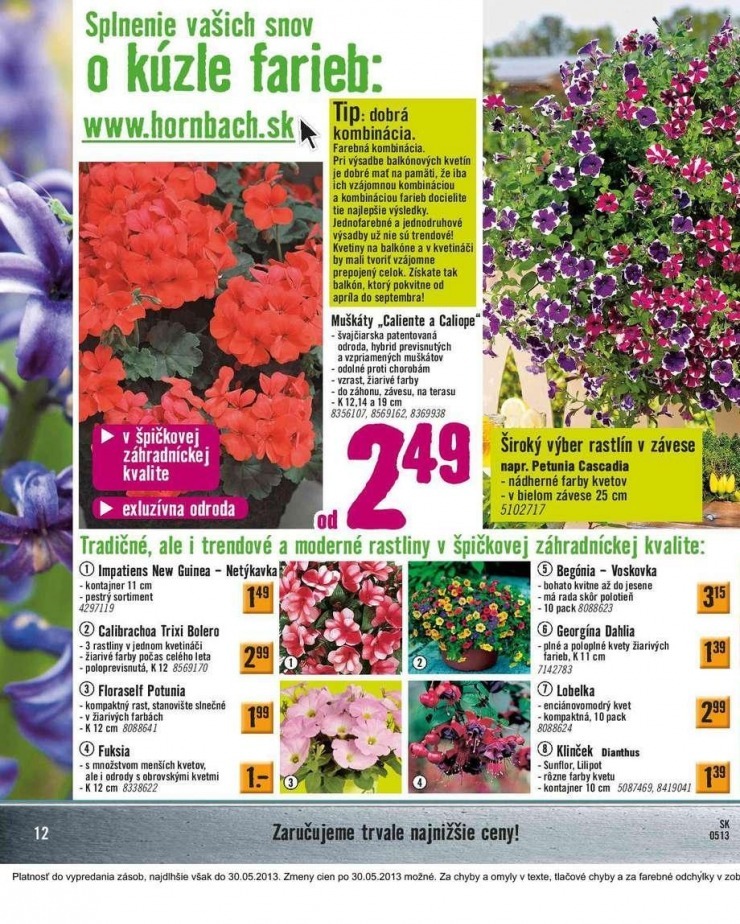 let�k HORNBACH akciov� let�k strana 12