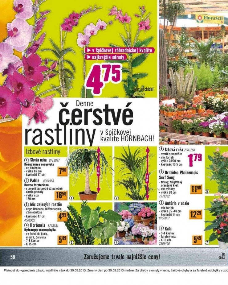 let�k HORNBACH akciov� let�k strana 58