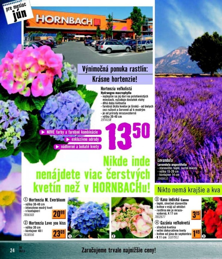 let�k HORNBACH let�k - podlahy strana 24