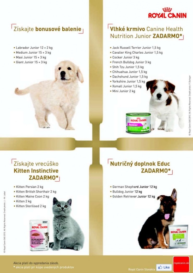 let�k aktu�lna ponuka Pet Center strana 8