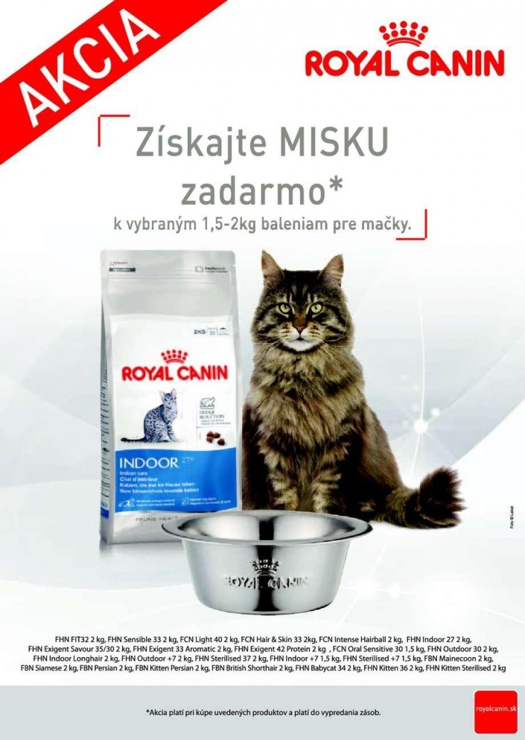 let�k Pet Center z�ava strana 4
