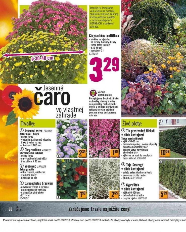 let�k HORNBACH aktu�lny katalog strana 38