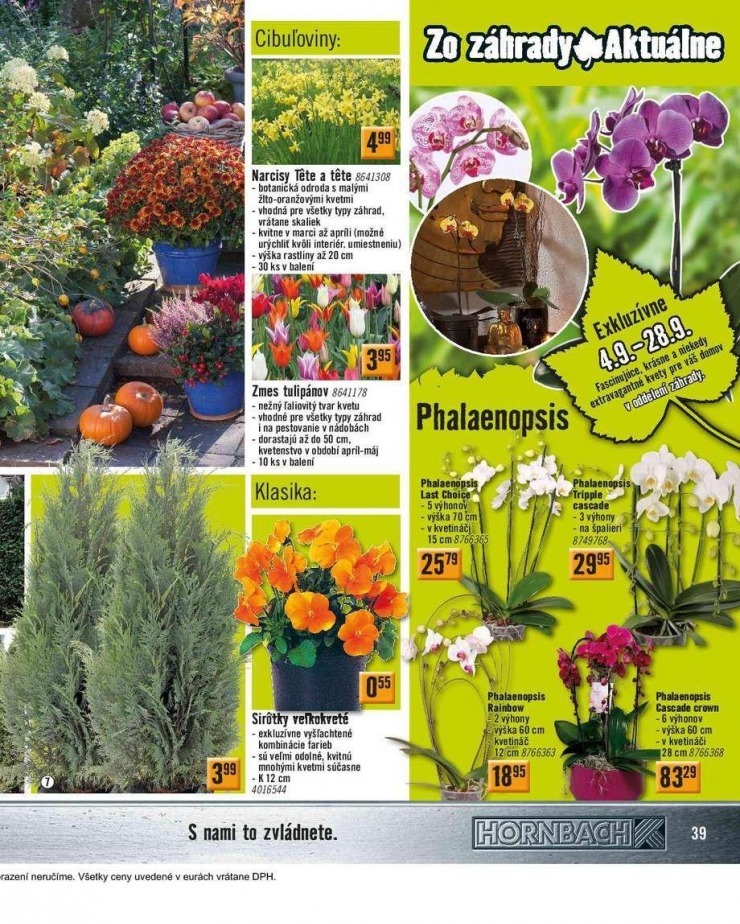 let�k HORNBACH aktu�lny katalog strana 39