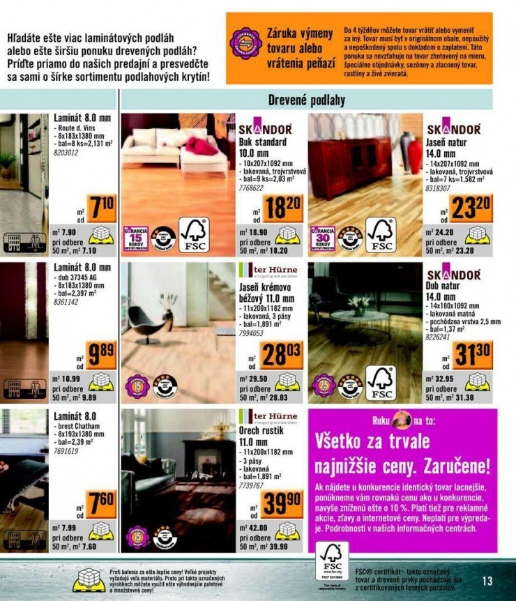 let�k ak�n� katal�g HORNBACH strana 13