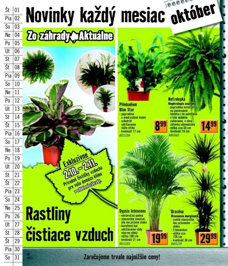 let�k ak�n� katal�g HORNBACH strana 46