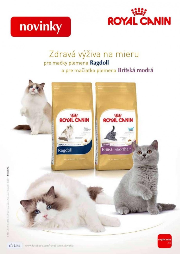 let�k mimoriadn� let�k Pet Center strana 6