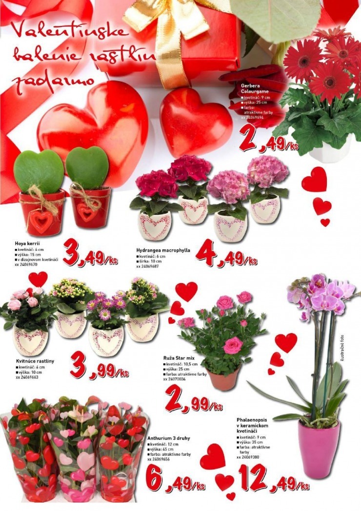 let�k bauMax akciov� let�k strana 3