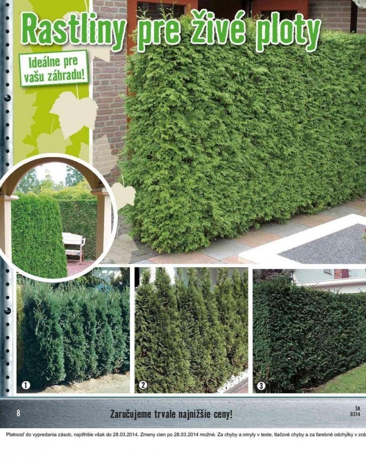 let�k aktu�ln� let�k HORNBACH strana 8