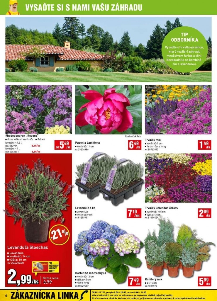 let�k extra let�k bauMax strana 6