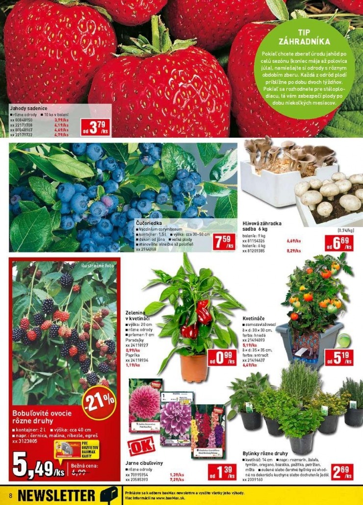 let�k extra let�k bauMax strana 8