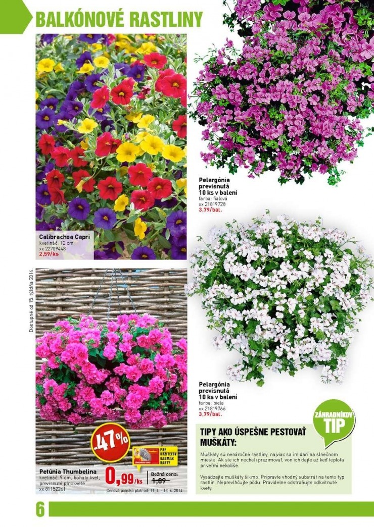 let�k bauMax - z�hradn� katal�g jar 2014 strana 6