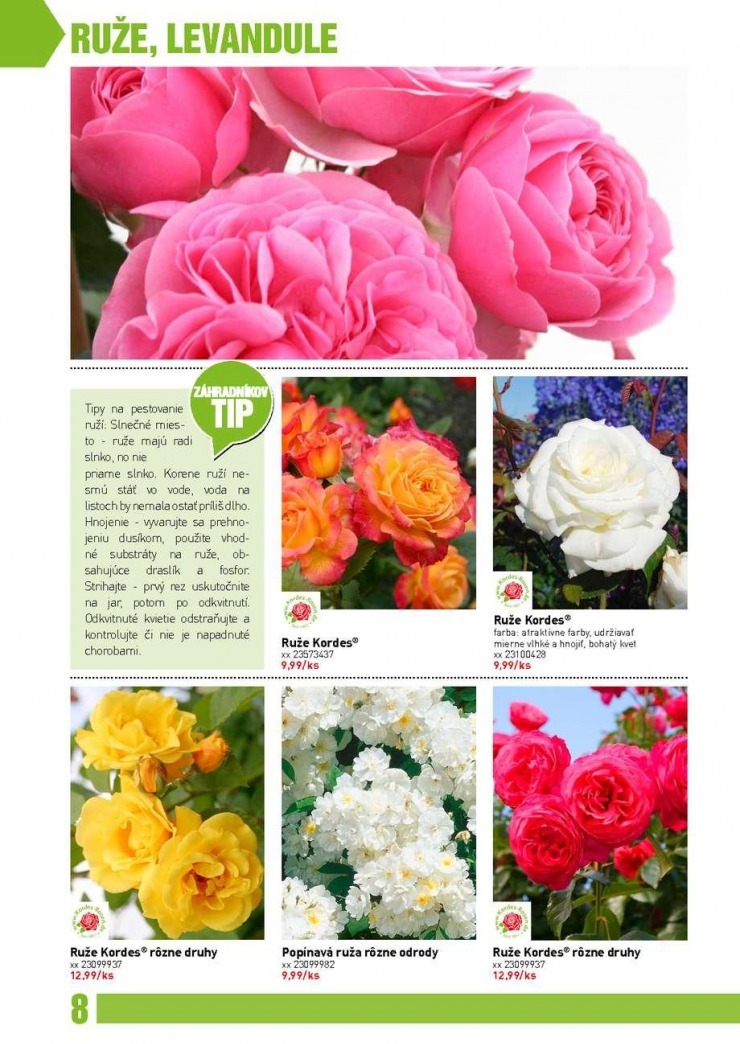 let�k bauMax - z�hradn� katal�g jar 2014 strana 8