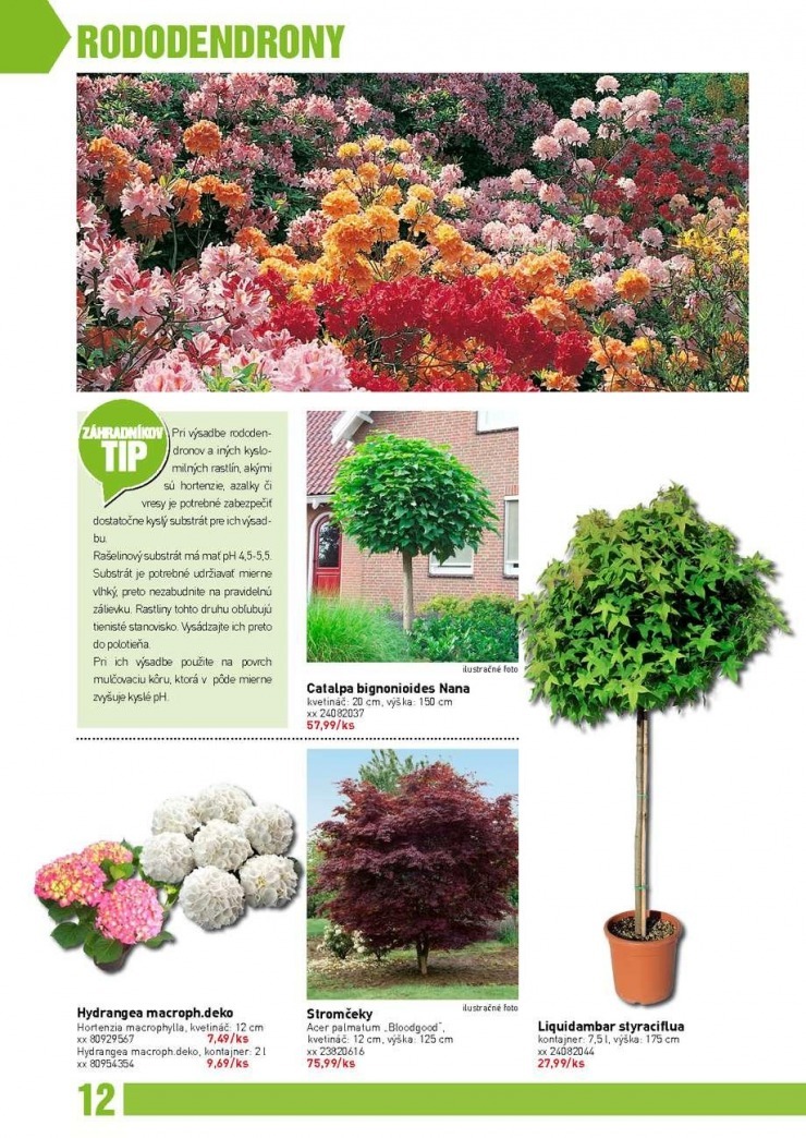let�k bauMax - z�hradn� katal�g jar 2014 strana 12