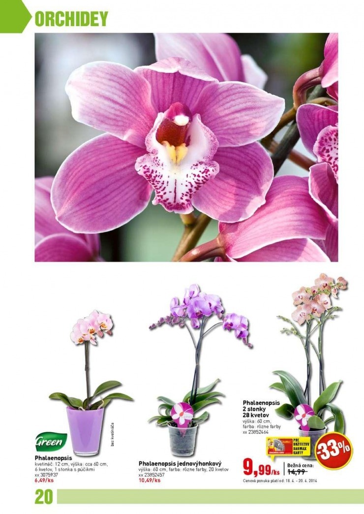 let�k bauMax - z�hradn� katal�g jar 2014 strana 20