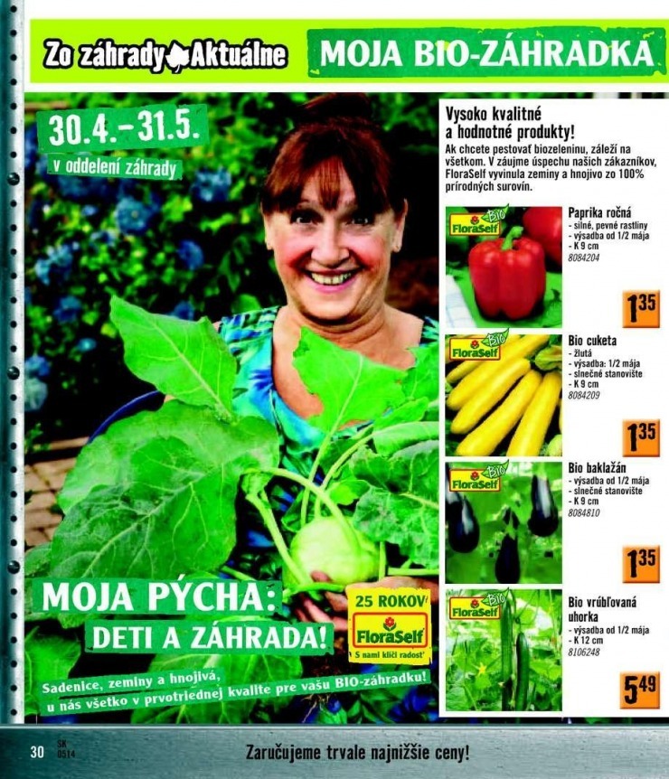 let�k ak�n� let�k HORNBACH strana 30