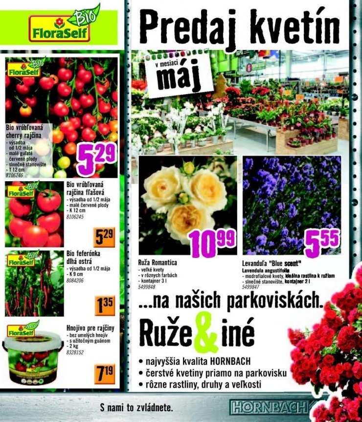 let�k ak�n� let�k HORNBACH strana 31