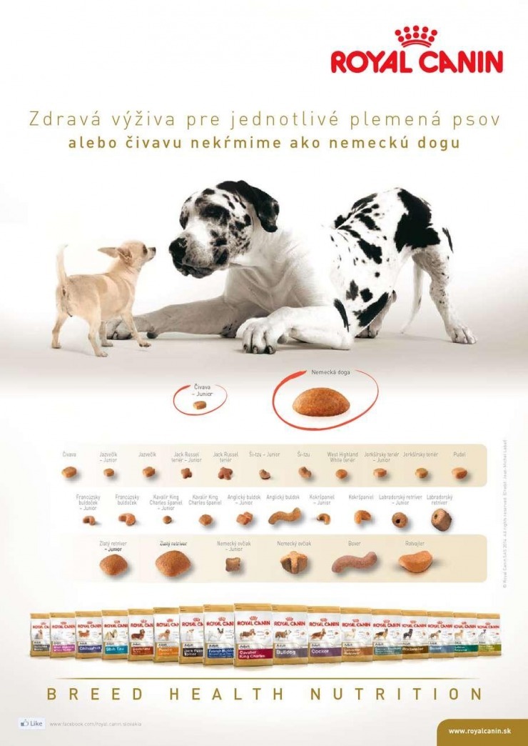 let�k Pet Center �peci�lna ponuka strana 8