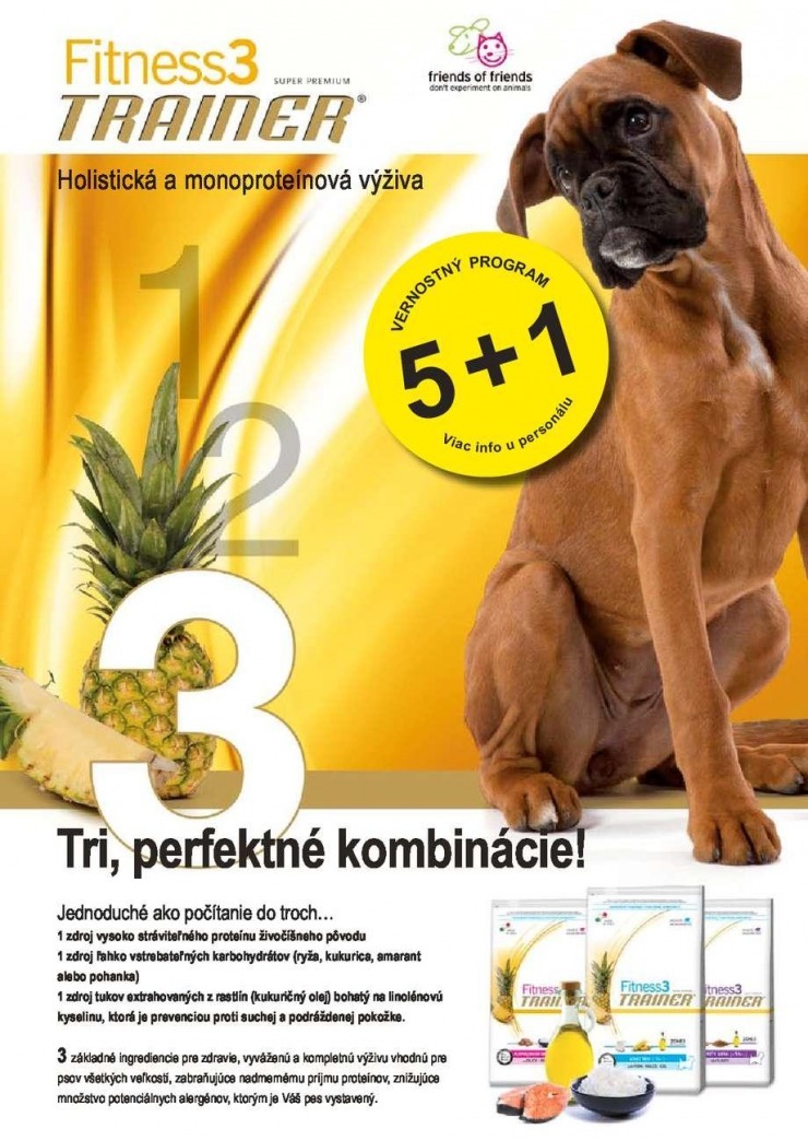 let�k ak�n� let�k Pet Center strana 2