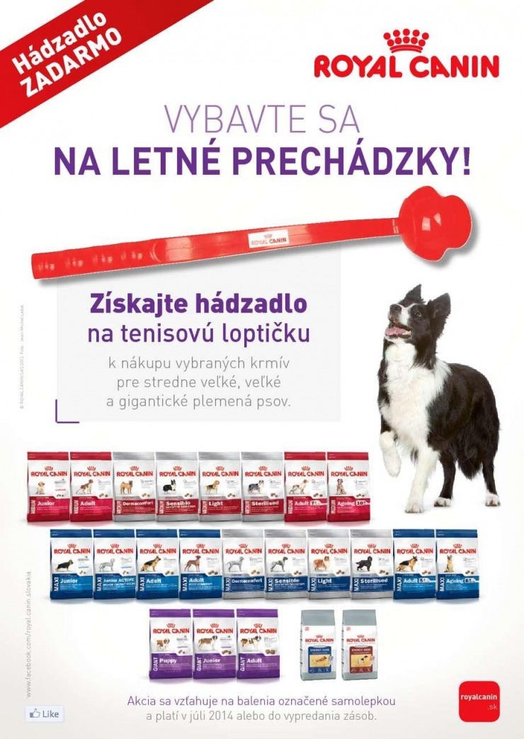 let�k ak�n� let�k Pet Center strana 8