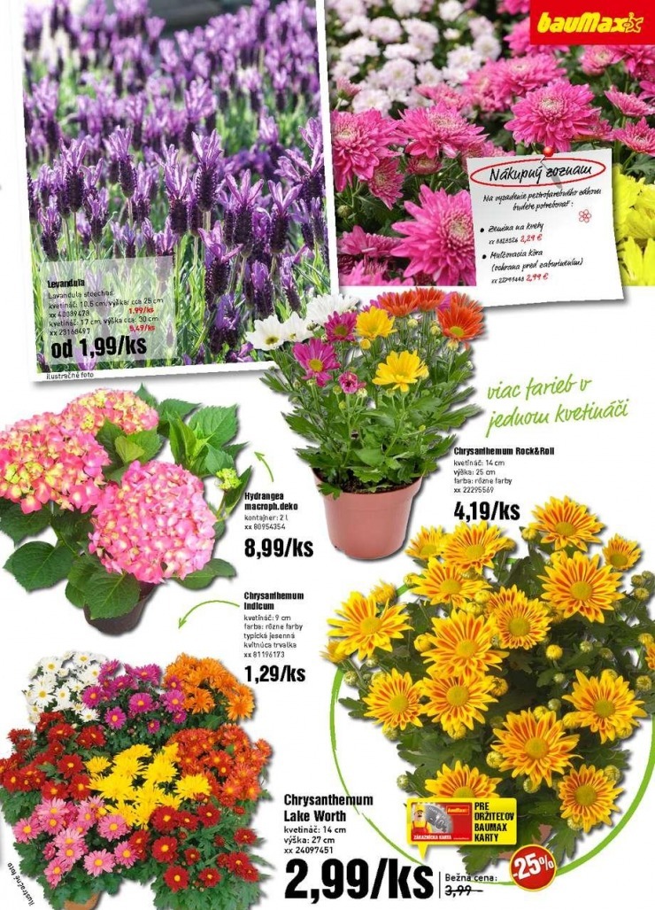 let�k exkluz�vny let�k bauMax strana 5