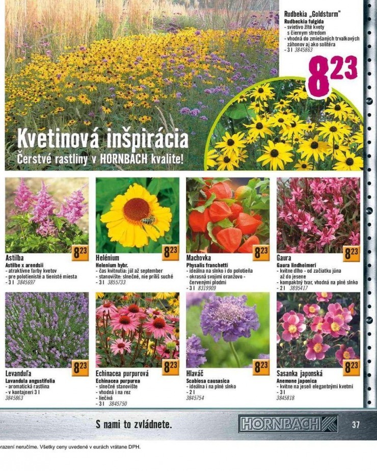 let�k aktu�lny katal�g HORNBACH strana 37