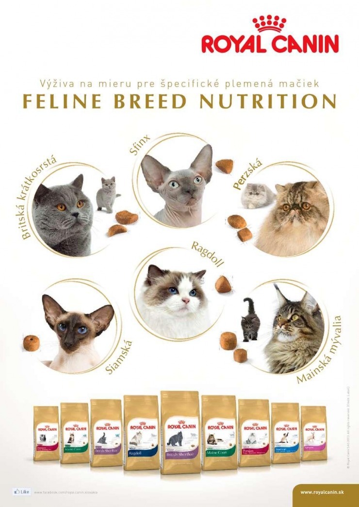 let�k aktu�lny let�k Pet Center strana 2