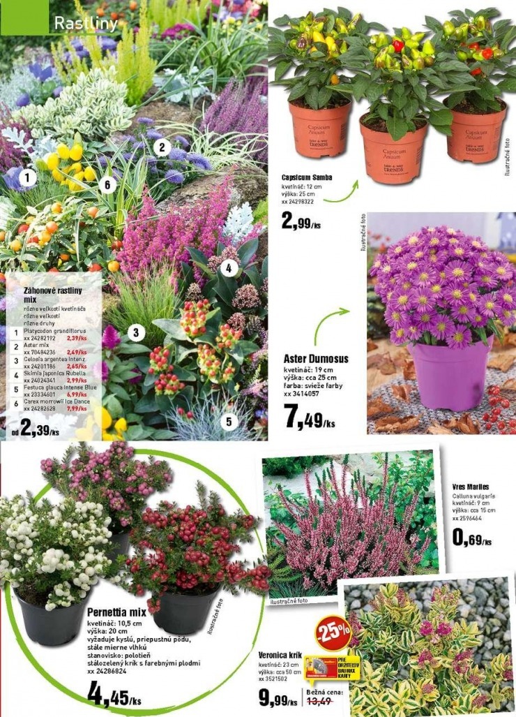 let�k bauMax let�k - ve�k� letn� vypredaj strana 3