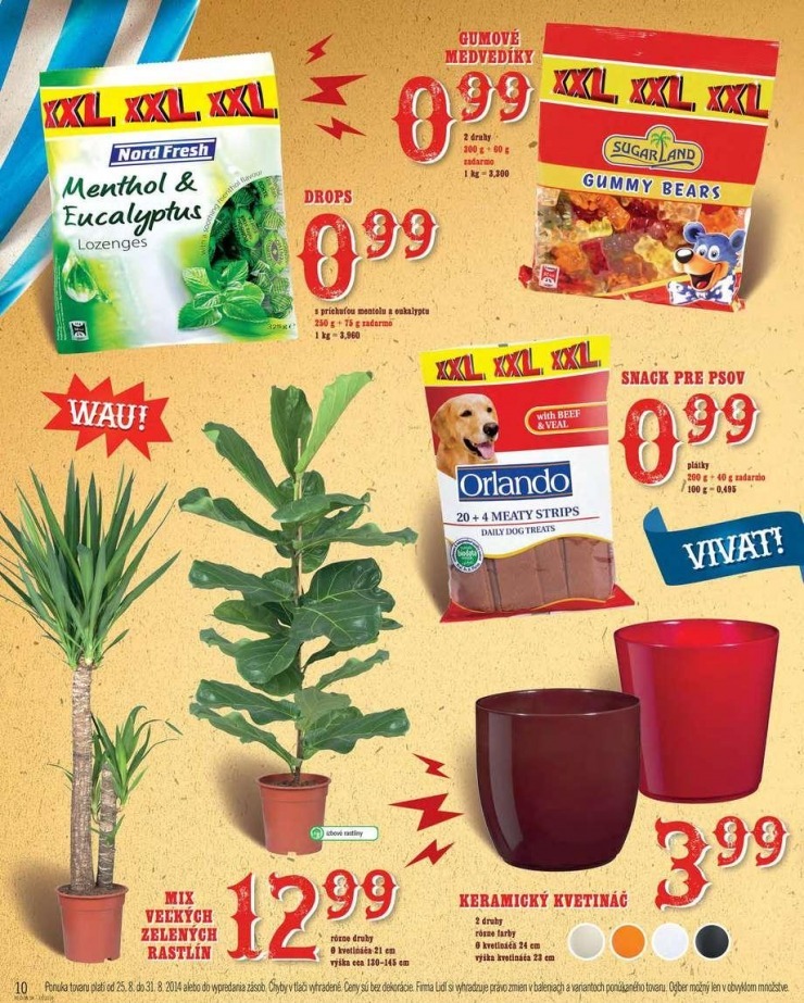 let�k mimoriadn� let�k Lidl strana 10