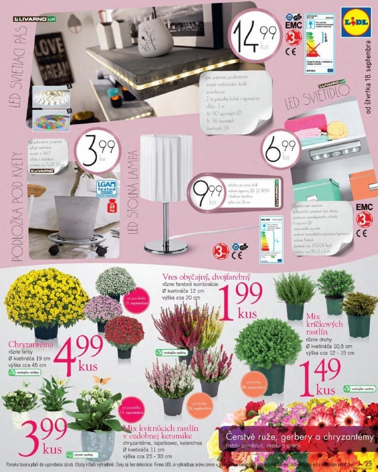 let�k exkluz�vny let�k Lidl strana 29