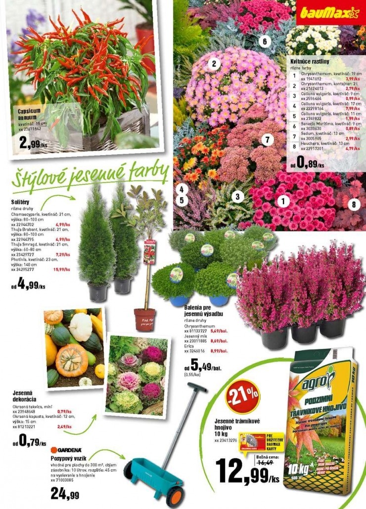 let�k bauMax �peci�lny let�k strana 31