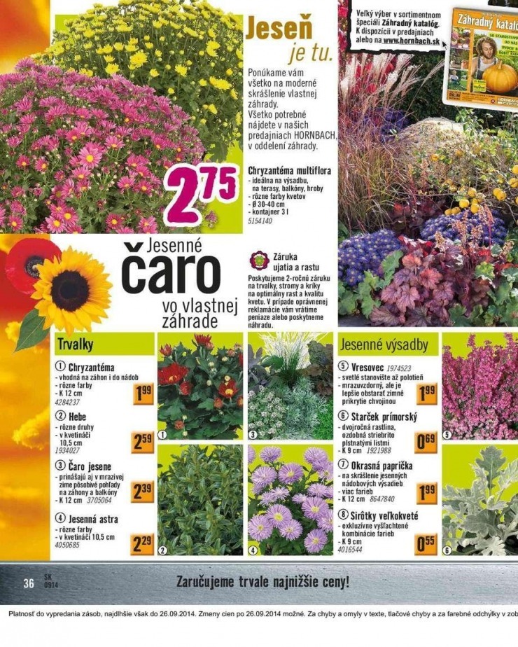 let�k HORNBACH akciov� let�k strana 36