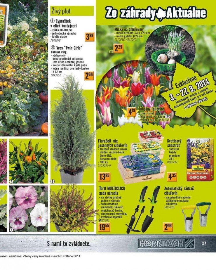let�k HORNBACH akciov� let�k strana 37