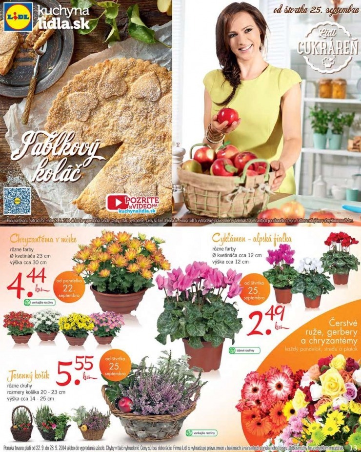 let�k akciov� let�k Lidl strana 13