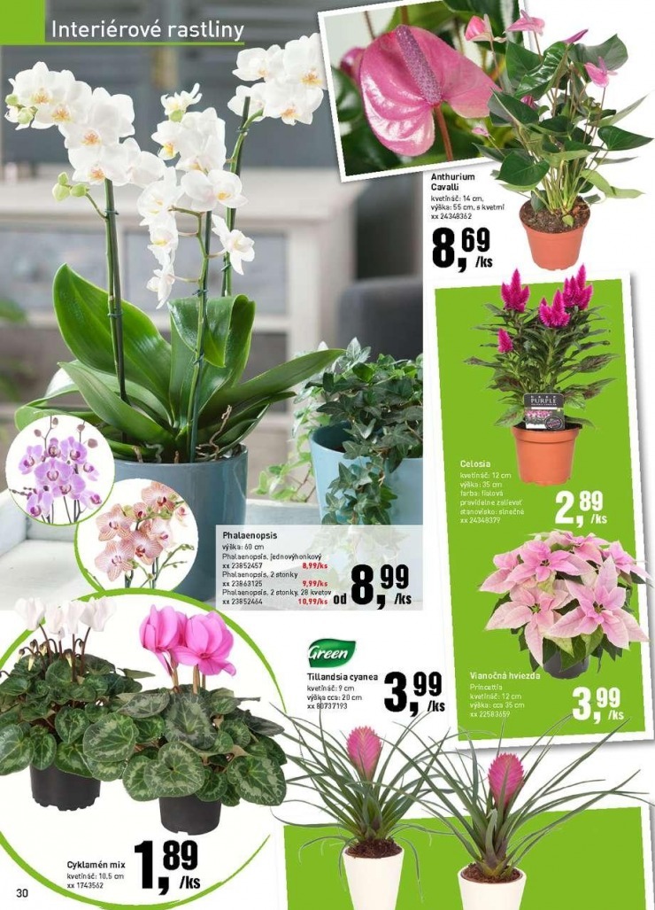 let�k bauMax �peci�lna okt�brov� ponuka strana 30