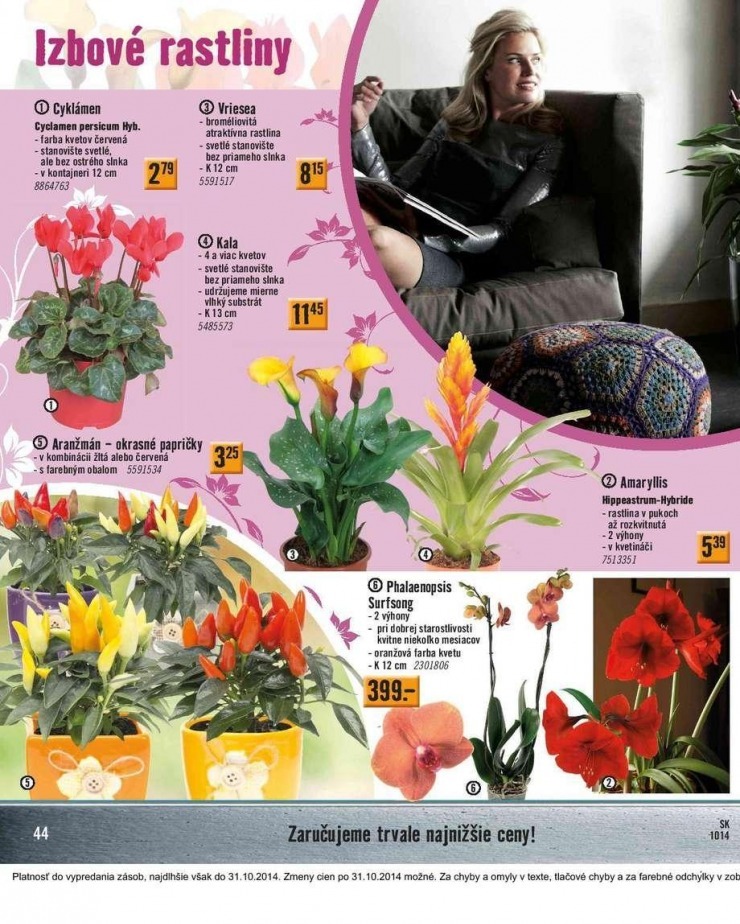 let�k extra ponuka HORNBACH strana 44