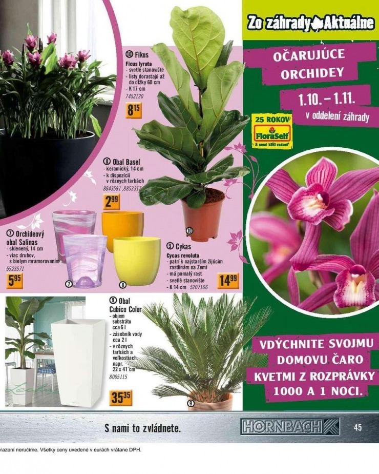 let�k extra ponuka HORNBACH strana 45