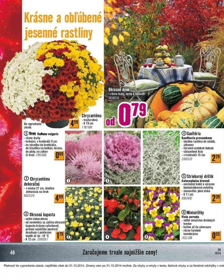 let�k extra ponuka HORNBACH strana 46