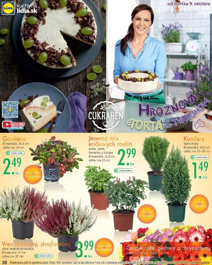 let�k Lidl extra let�k strana 38